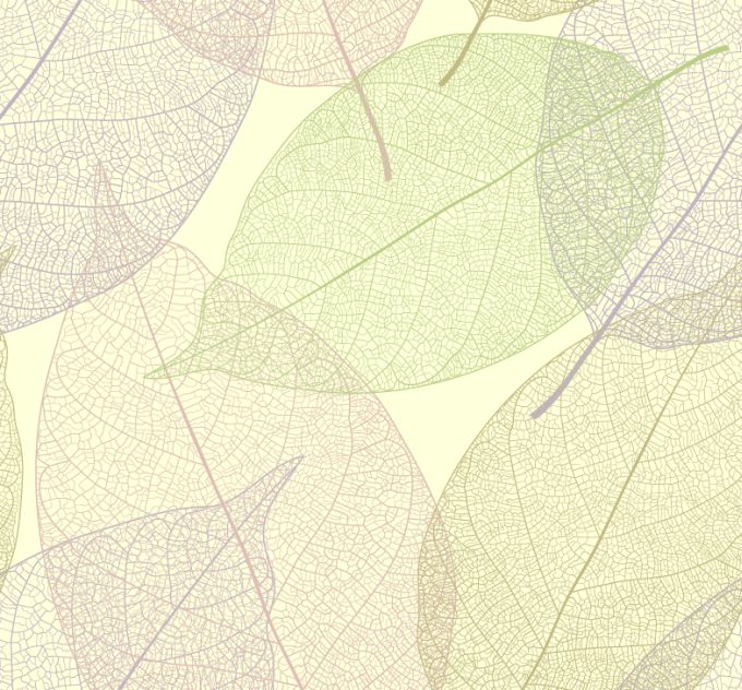 Free Vector Leaves Background