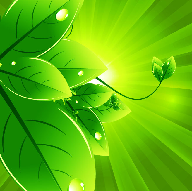 Green Leaf Vector Free Download