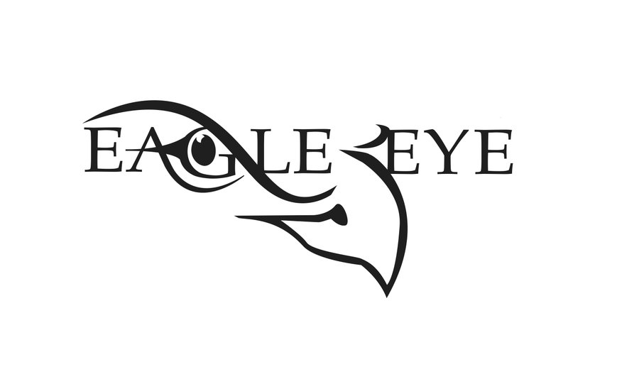 8 Eagle Eye Logo Design Images