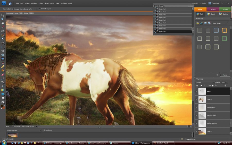 Horse Photoshop