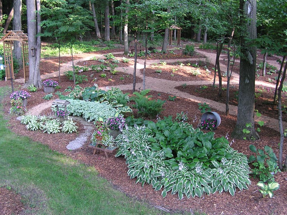 Hosta Garden Design Ideas