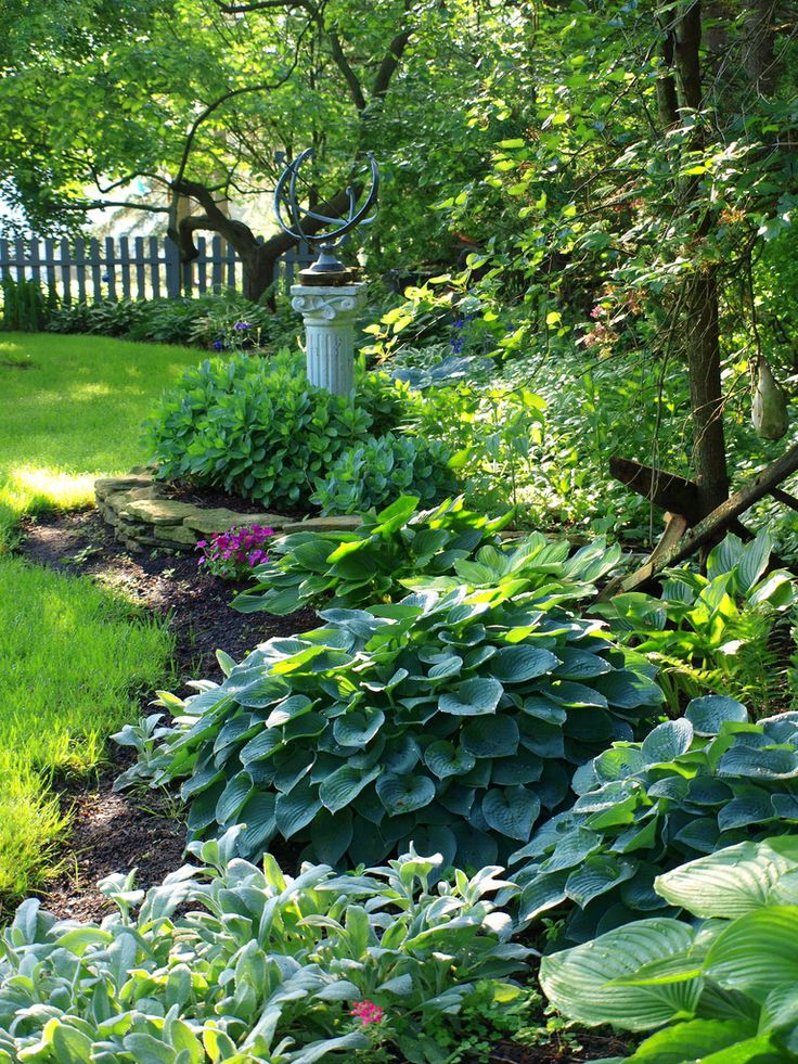 Hosta Shade Garden