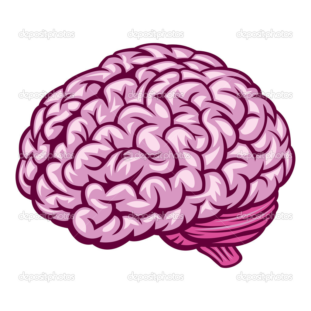 Human Brain Drawing Cartoon