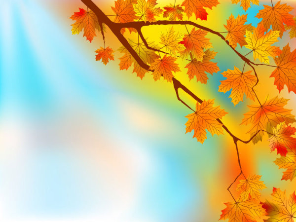 Maple Leaf Fall Cartoon Maple Leaf Fall Cartoon