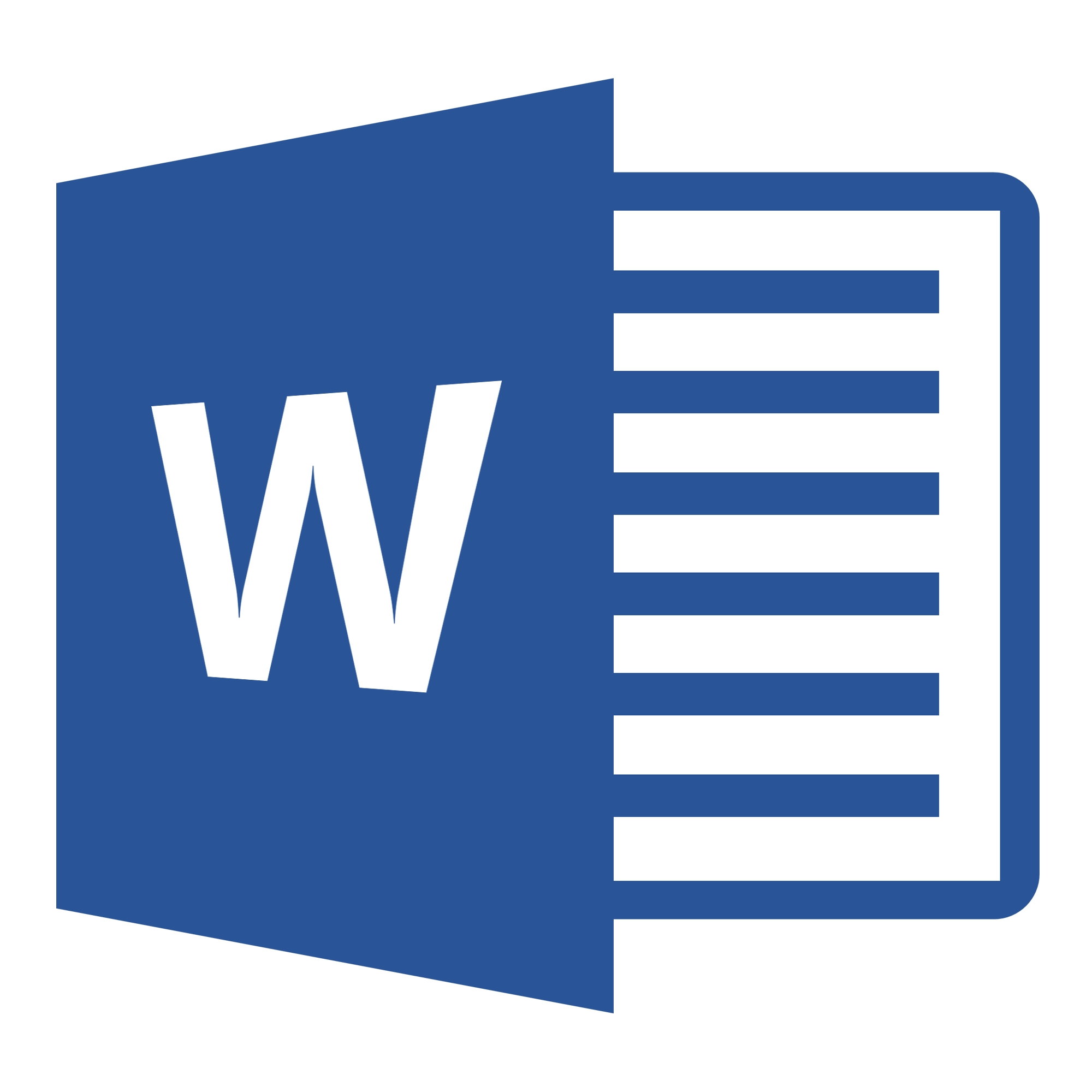 Microsoft Word 2013 Icon