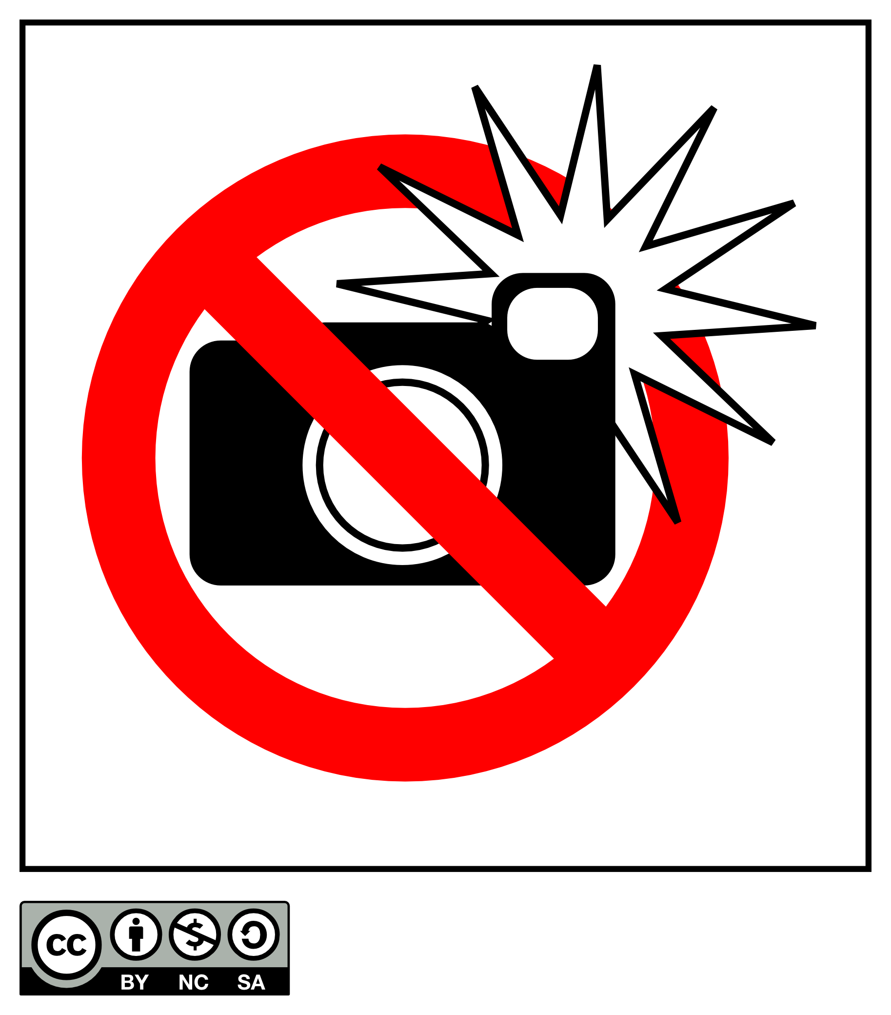No Flash Photography Sign No Flash Photography Sign