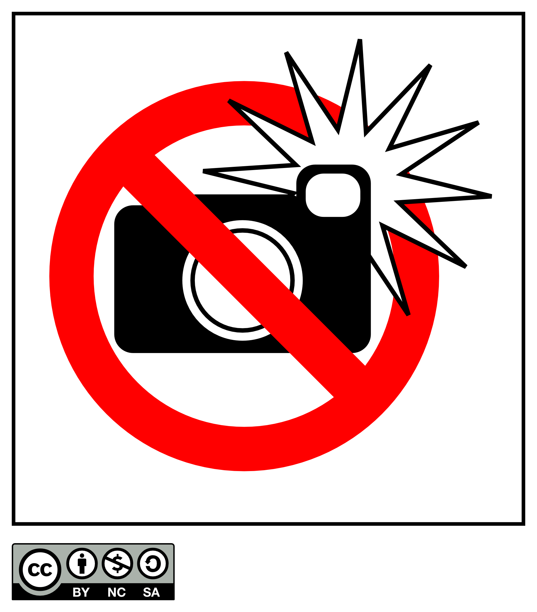 No Flash Photography Sign