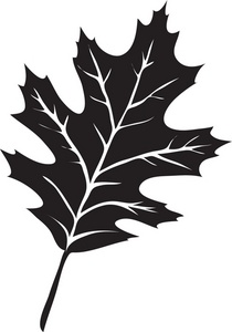 Oak Leaf Silhouette Clip Art