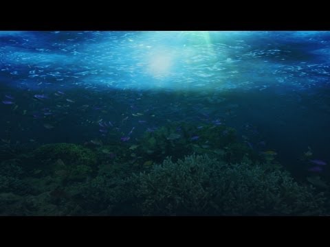 Photoshop Underwater Effect Photoshop Underwater Effect