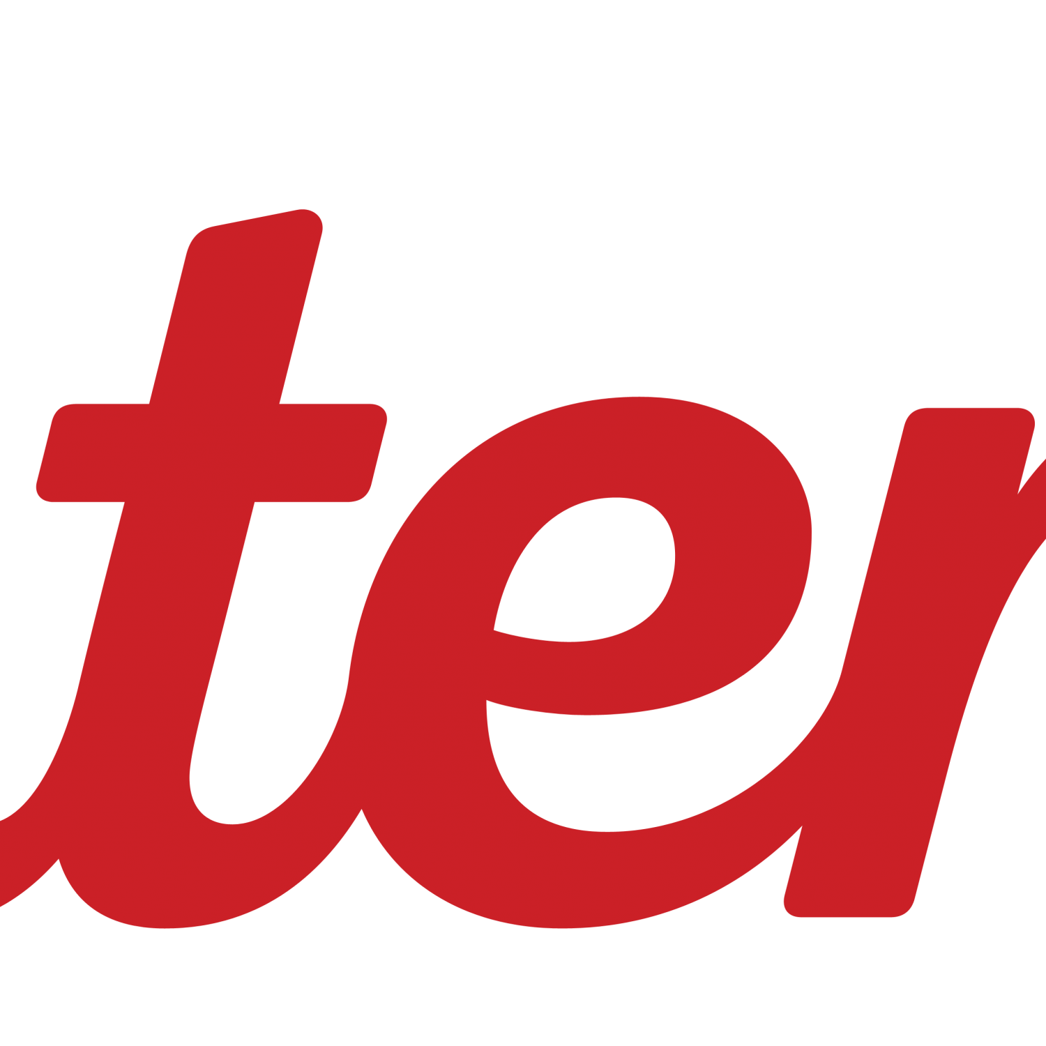 Pinterest Logo Icon