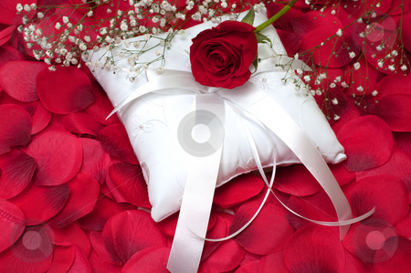 Red and White Ring Bearer Pillow