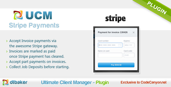 Stripe Payment Gateway Logo