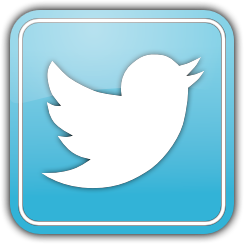 Twitter Bird Logo Transparent