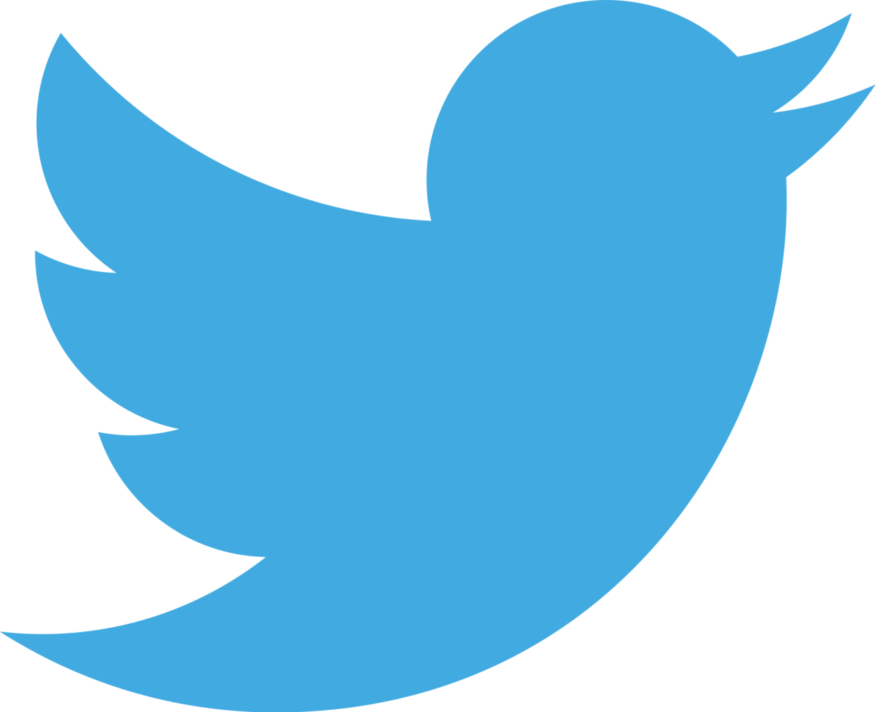 Twitter Logo Transparent