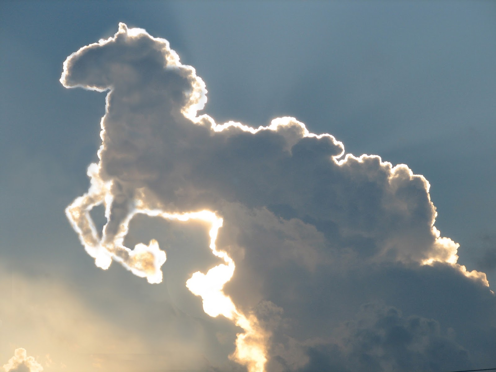 Unicorn Cloud
