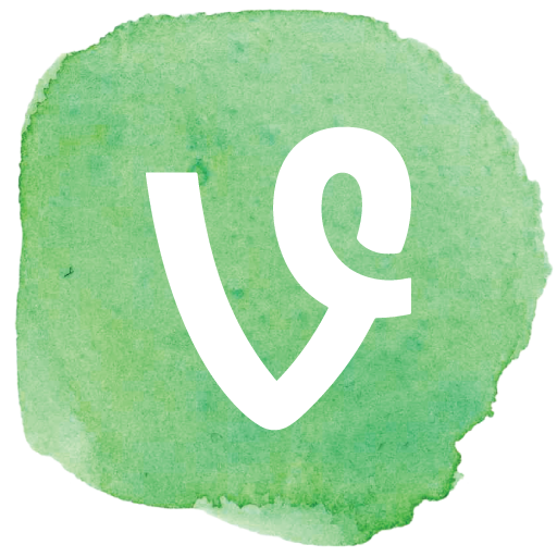 Vine Social Media Icon