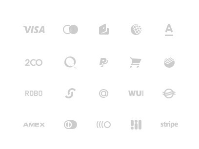 Visa Icon Glyph