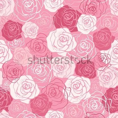 White Flowers Pink Roses Vector