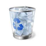 Windows Recycle Bin Icon