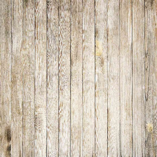 Wood Fence Backdrop Photography