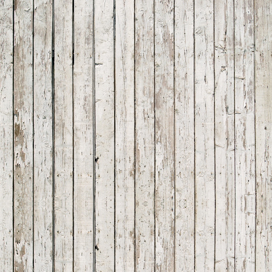 Wood Fence Backdrop Photography