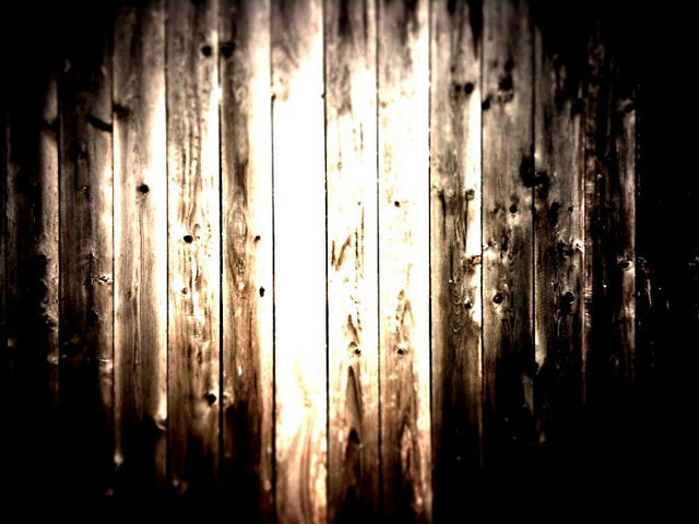 Wood Fence Backdrop
