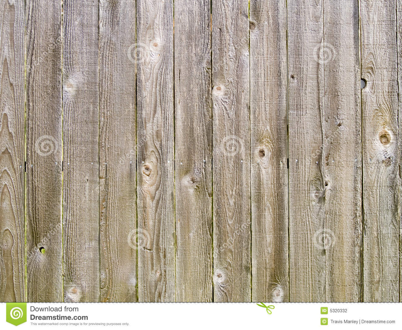 Wood Fence Backdrop