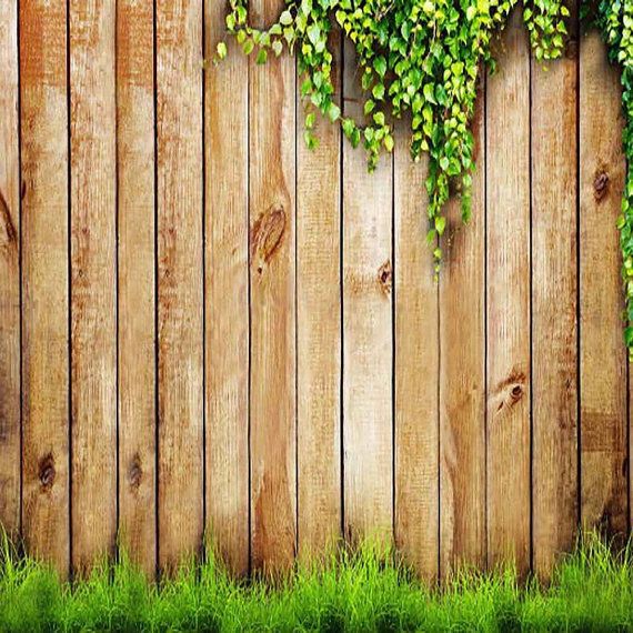 Wooden Fence Backdrop Photography