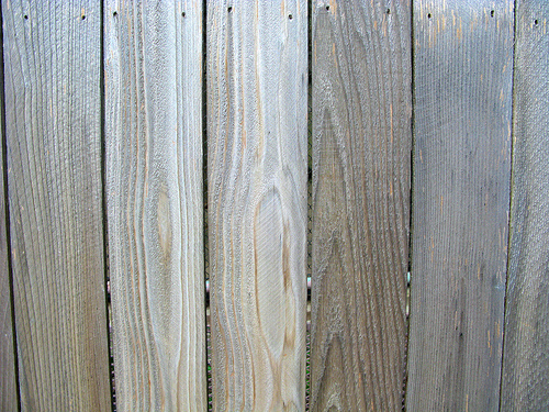 Wooden Fence Backdrop