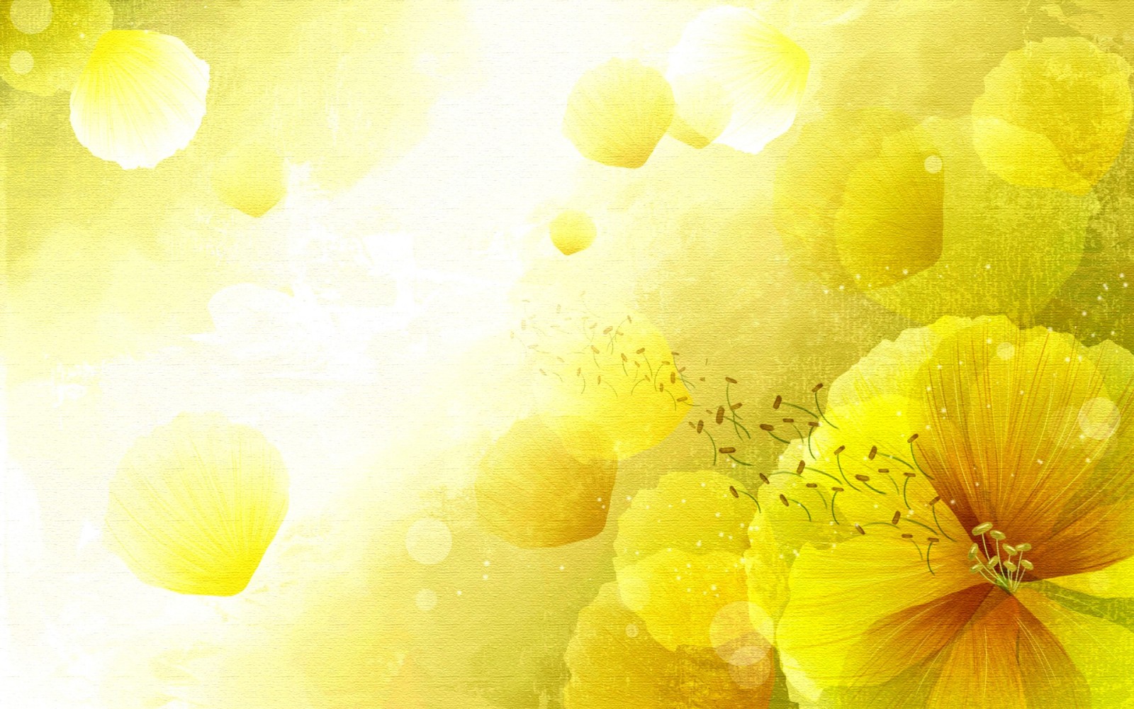Yellow Flower Vector