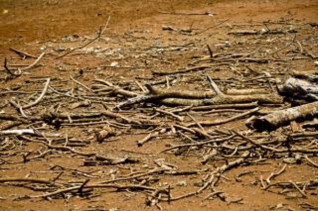 Agricultural Drought