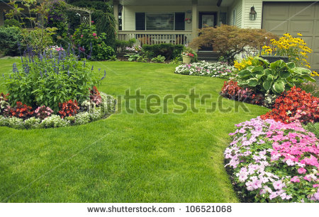 Beautifully Manicured Yard