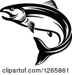 Black and White Salmon Fish