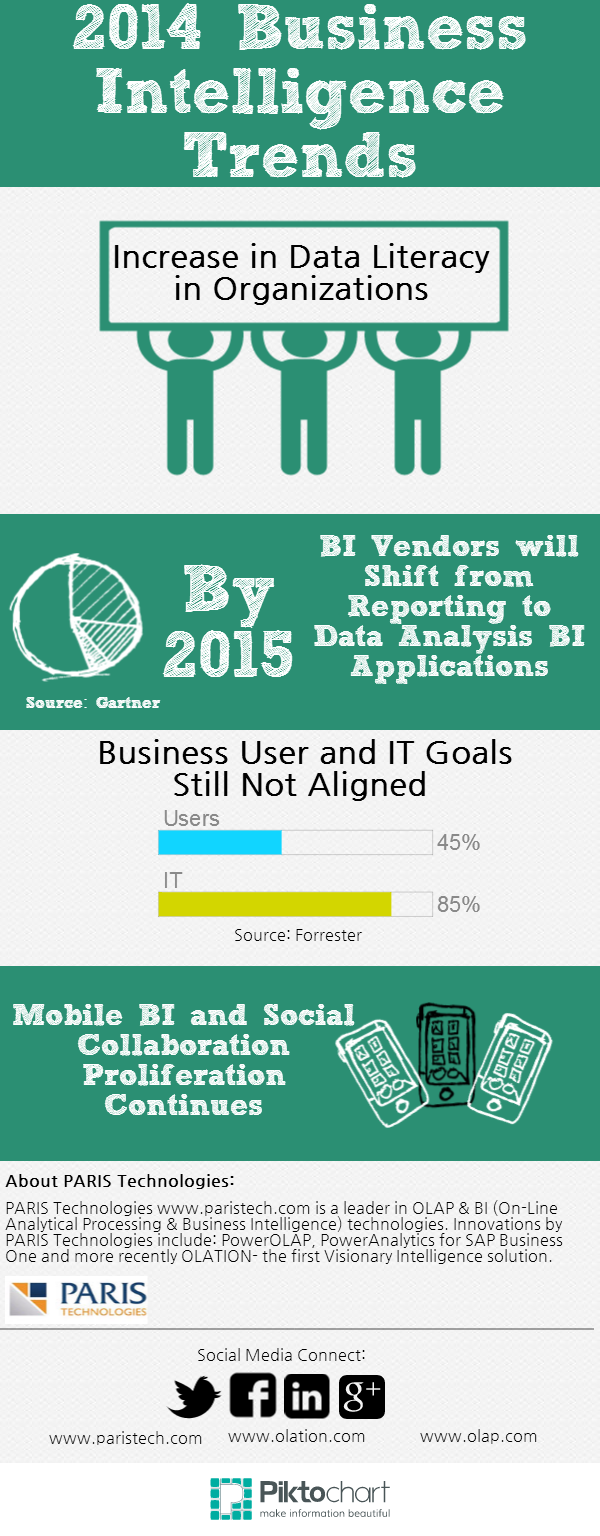 Business Intelligence Infographic