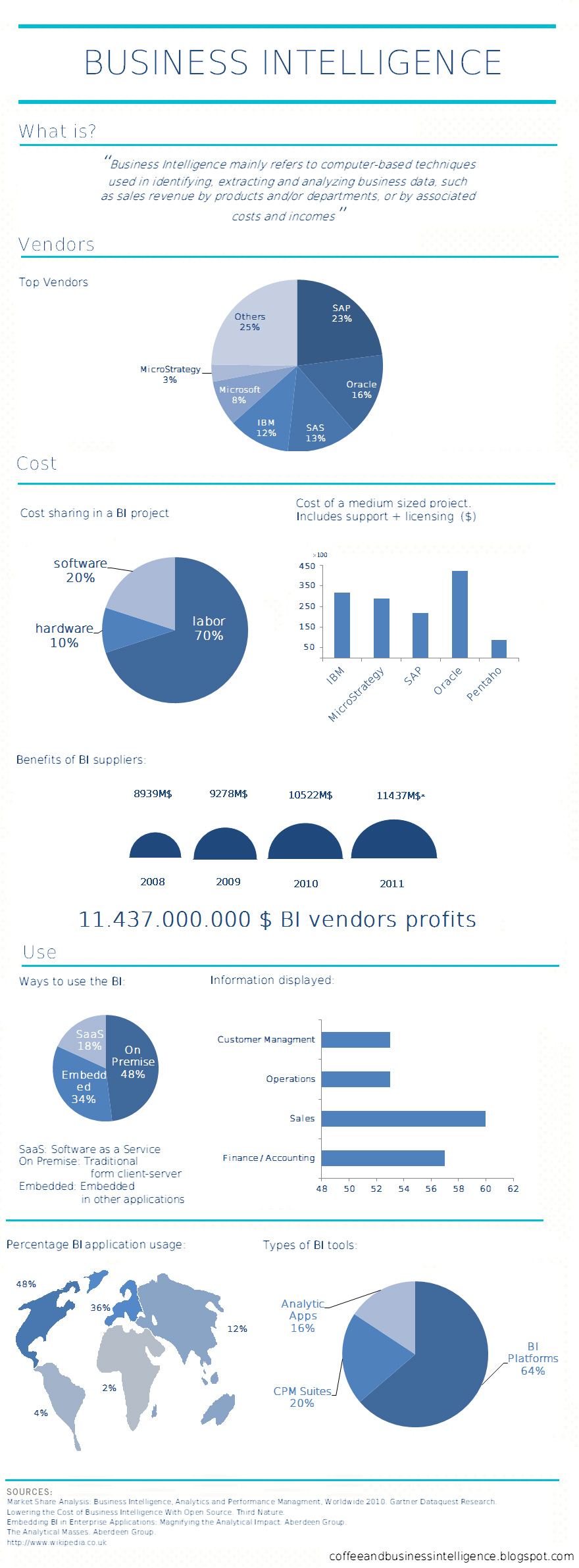 Business Intelligence Infographic