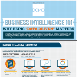 Business Intelligence Infographic