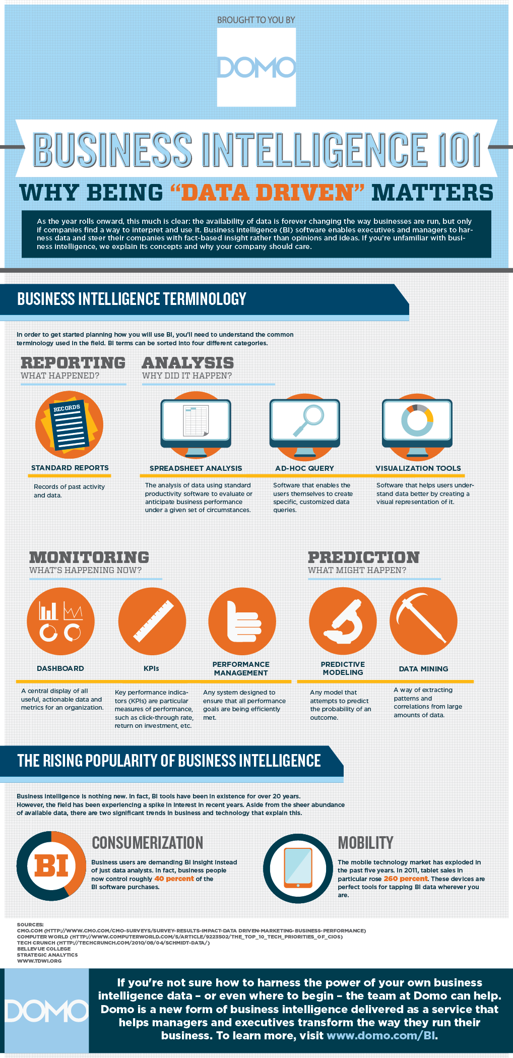 Business Intelligence Infographic