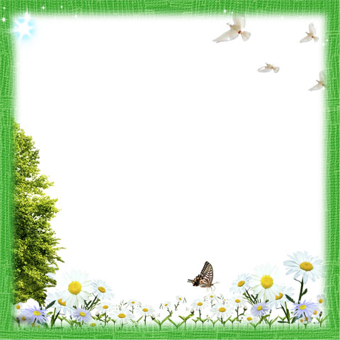 Butterfly Photoshop Frame PNG Butterfly Photoshop Frame PNG