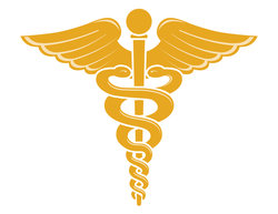 Caduceus Medical Symbol Vector