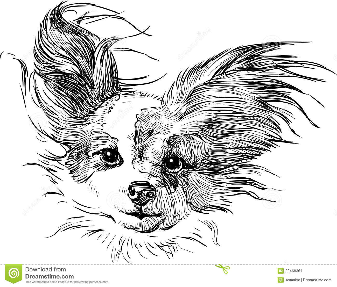 8 Vector Head Chihuahua Images