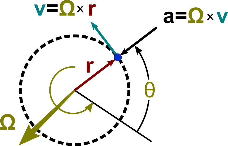 Circular Motion Vectors Circular Motion Vectors