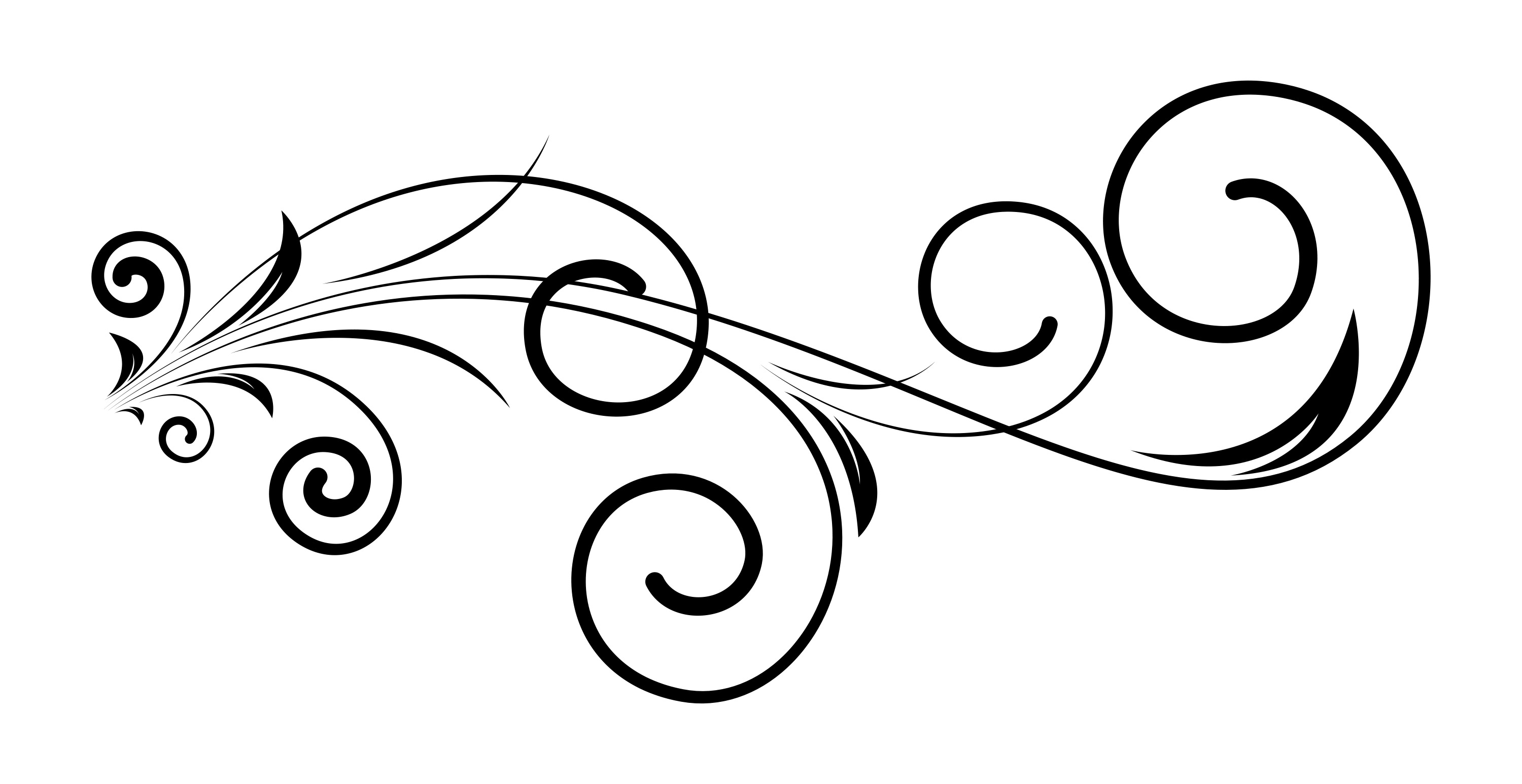 Decorative Swirl Vector