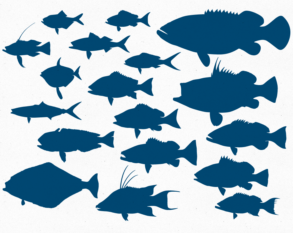 Deep Sea Fish Outline Vector