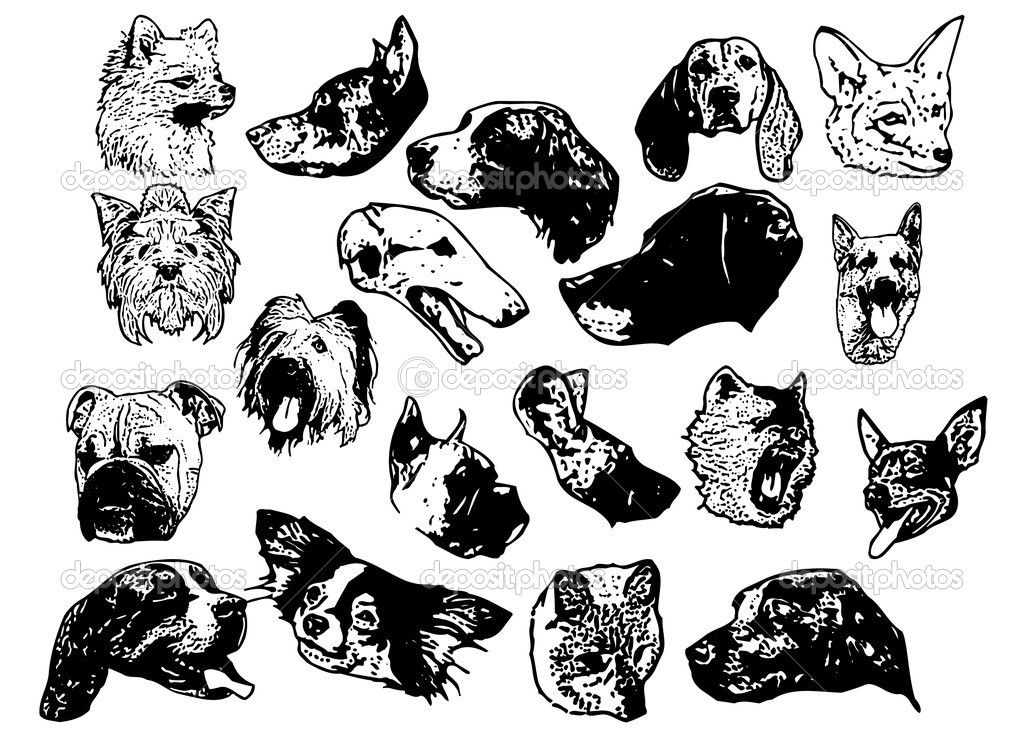 Dog Head Vector Art