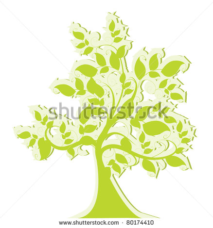 Elm Tree Leaves Illustration