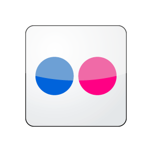 Flickr Icon Vector Logo Flickr Icon Vector Logo