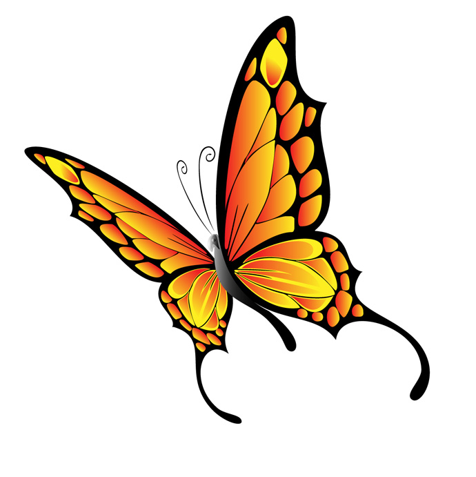 animated monarch butterfly clip art free - photo #40