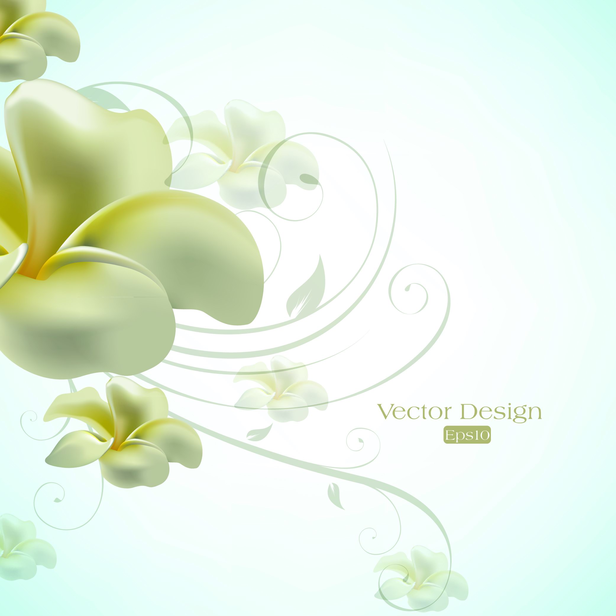 Free Elegant Graphic Design