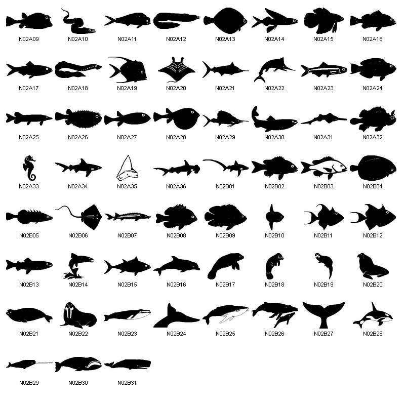 Free EPS Vector Bass Fish