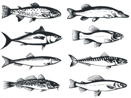 Free Fish Vector Art Free Fish Vector Art